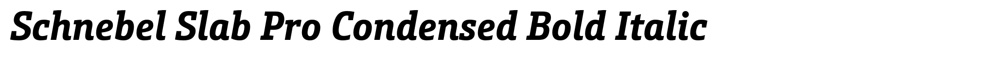 Schnebel Slab Pro Condensed Bold Italic image